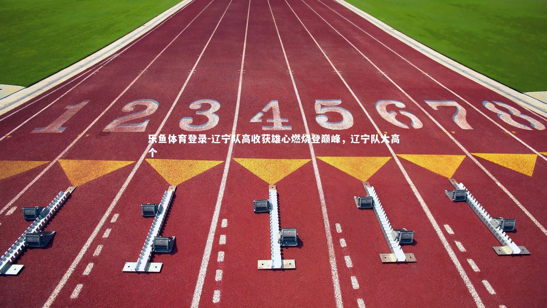 乐鱼体育登录-辽宁队高收获雄心燃烧登巅峰，辽宁队大高个